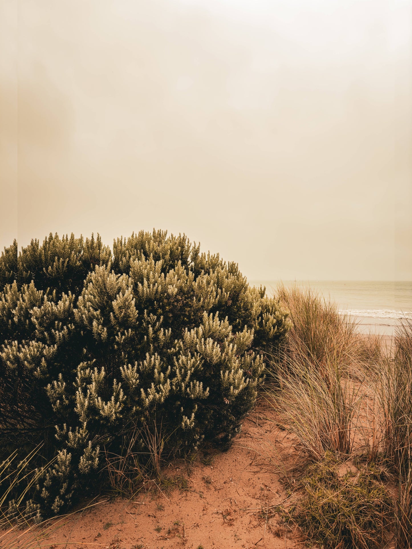 Torquay Sands