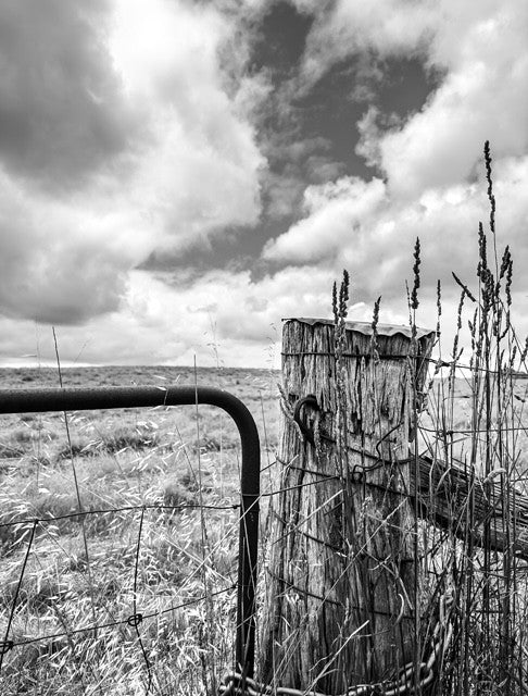 The Strathbogie Farm Gate